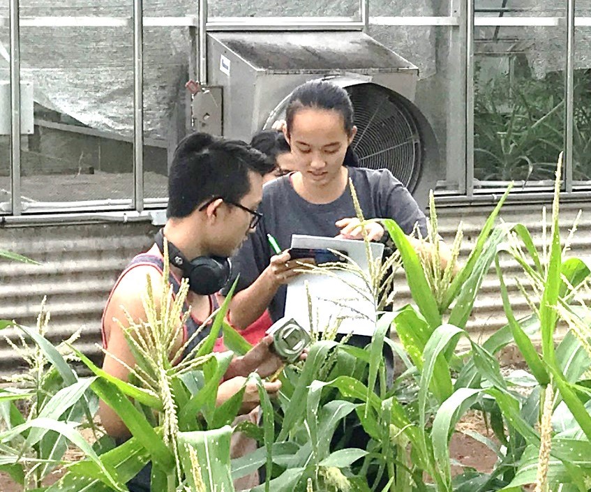 TAE students working in the field