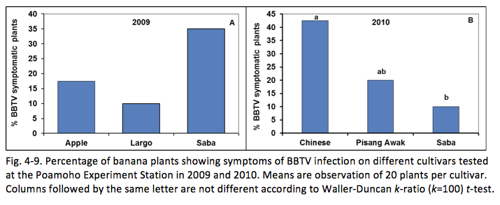 Fig. 4-9. Percentage of banana plants showing symptoms of BBTV infection on different cultivars tested at the Poamoho Experiment Station in 2009 and 2010. Means are observation of 20 plants per cultivar. Columns followed by the same letter are not different according to Waller-Duncan k-ratio (k=100) t-test.