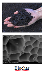 biochar