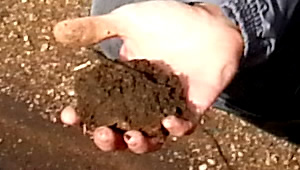 Soil in hand