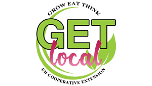 getLocal