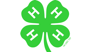 4-H