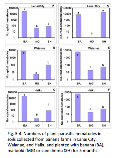 Fig. 5-4. Numbers of plant-parasitic nematodes in soils collected from banana farms in Lanai City, Waianae, and Haiku and planted with banana (BA), marigold (MG) or sunn hemp (SH) for 5 months.