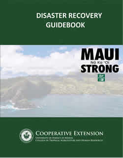 Maui Disaster Recovery Guidebook