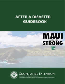 Maui After A Disaster Guidebook